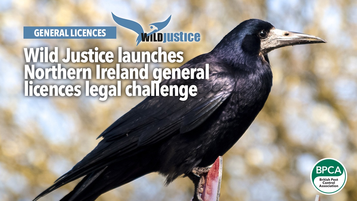 wild-justice-launch-legal-challenge-northern-ireland wild-justice-launch-legal-challenge-northern-ireland